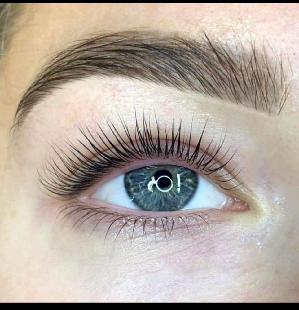 x5 Of Series of Brow Tint