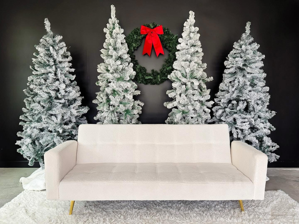 Christmas Minis In Mckinney🎄