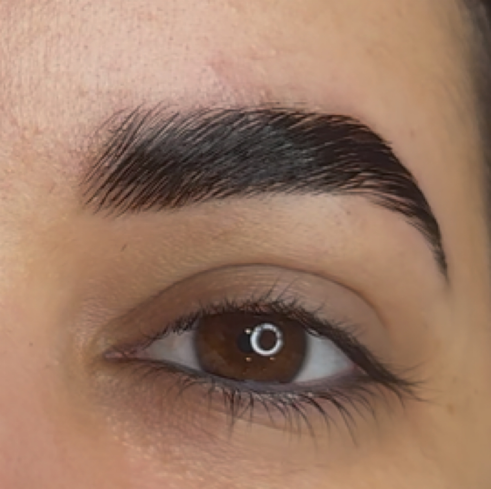 BROW LIFT & TINT at Posh Cosmetic Ink in Sarasota, FL