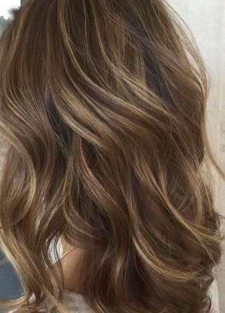 Partial Highlight W/ Haircut at Brilliance Salon & Day Spa in Gresham, OR