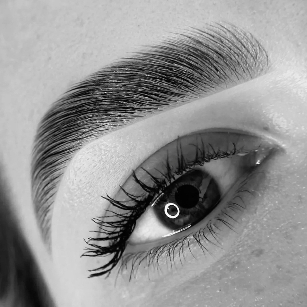 Brow Lamination + Hybrid Tint at Glamour Wax Studio in Paramus, NJ