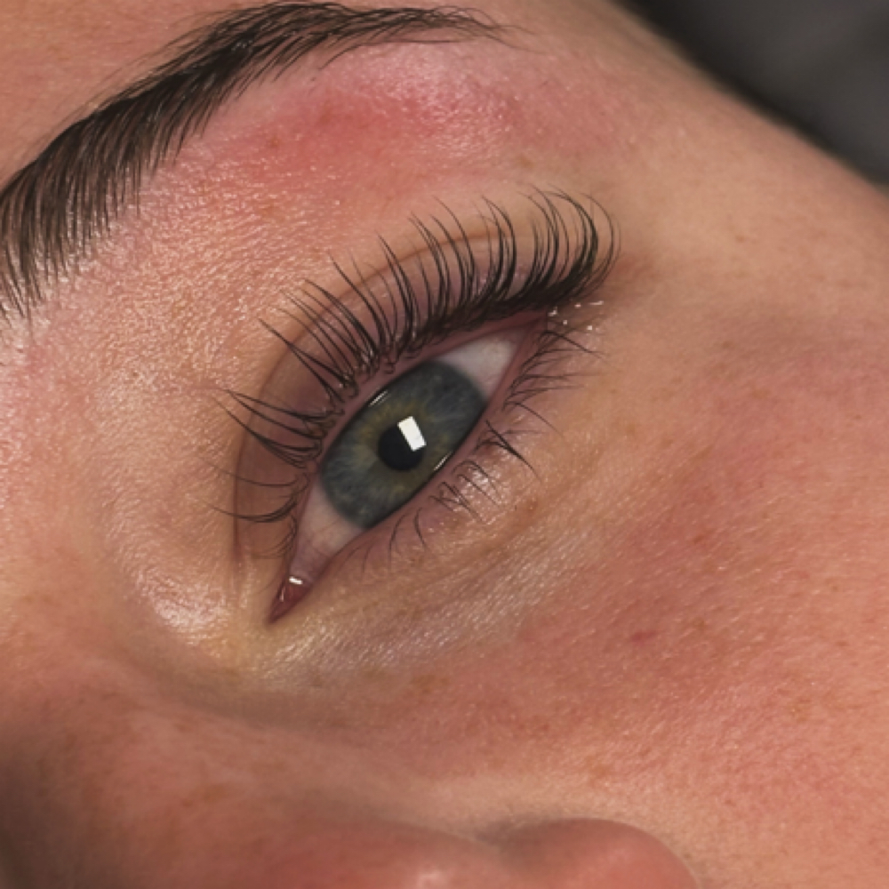 LASH TINT at Evolve Esthetics in Knoxville, TN