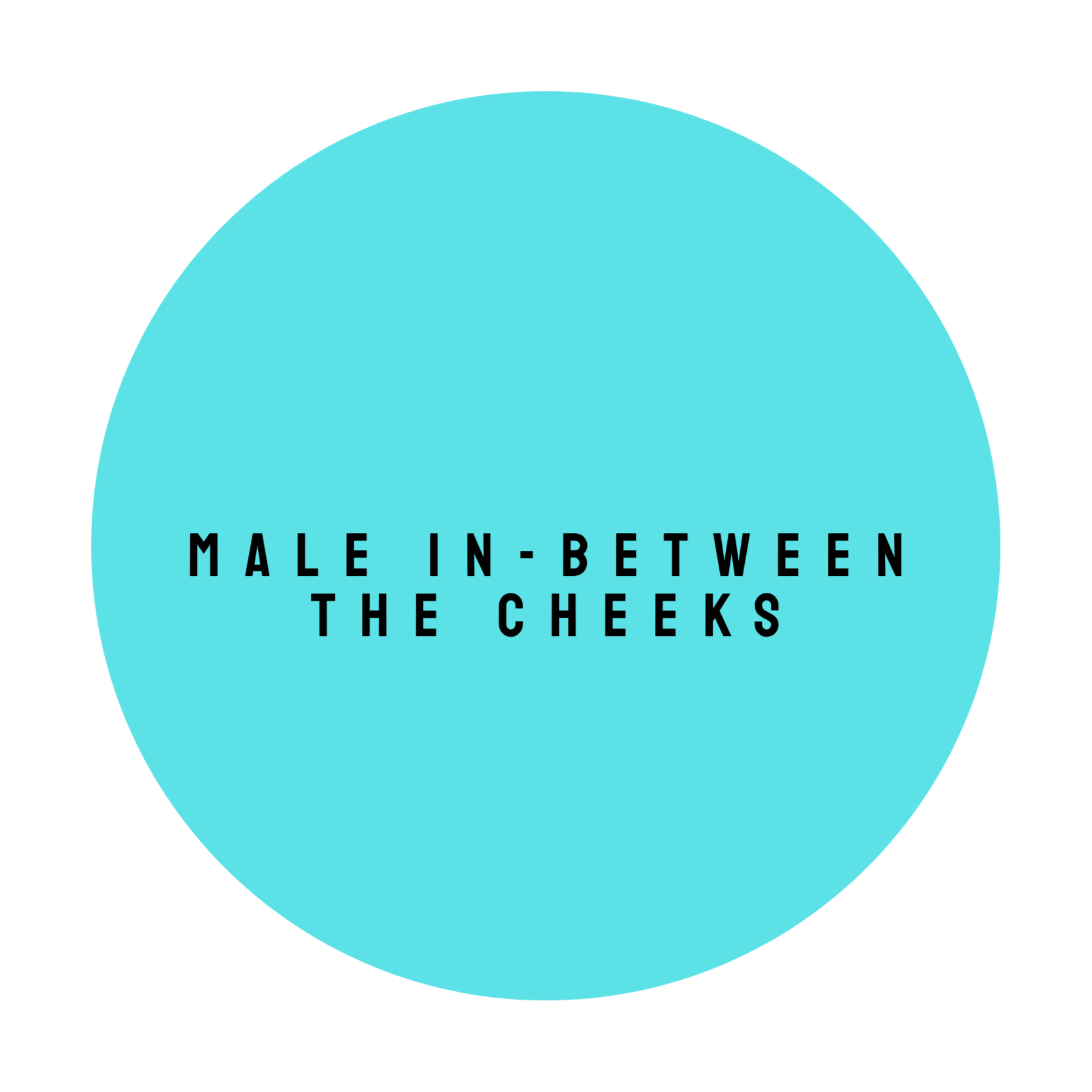 MALE IN-BETWEEN THE CHEEKS at The Dollhouse Wax Studio in Smyrna, TN