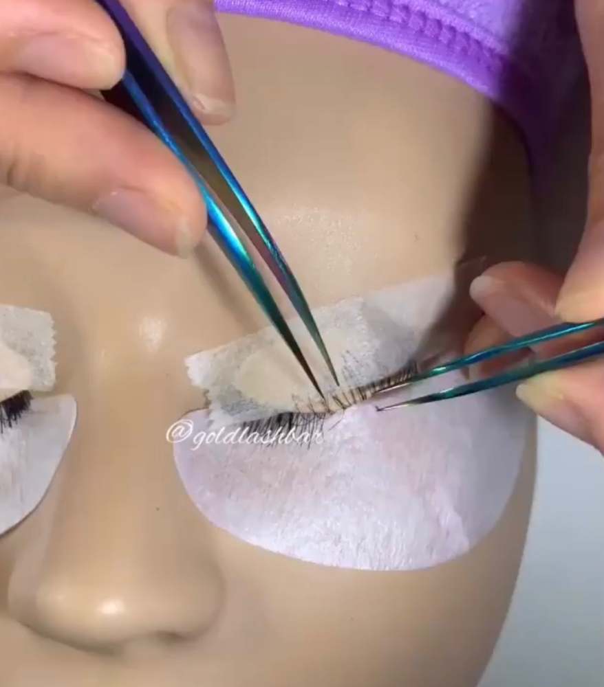 Lash Training