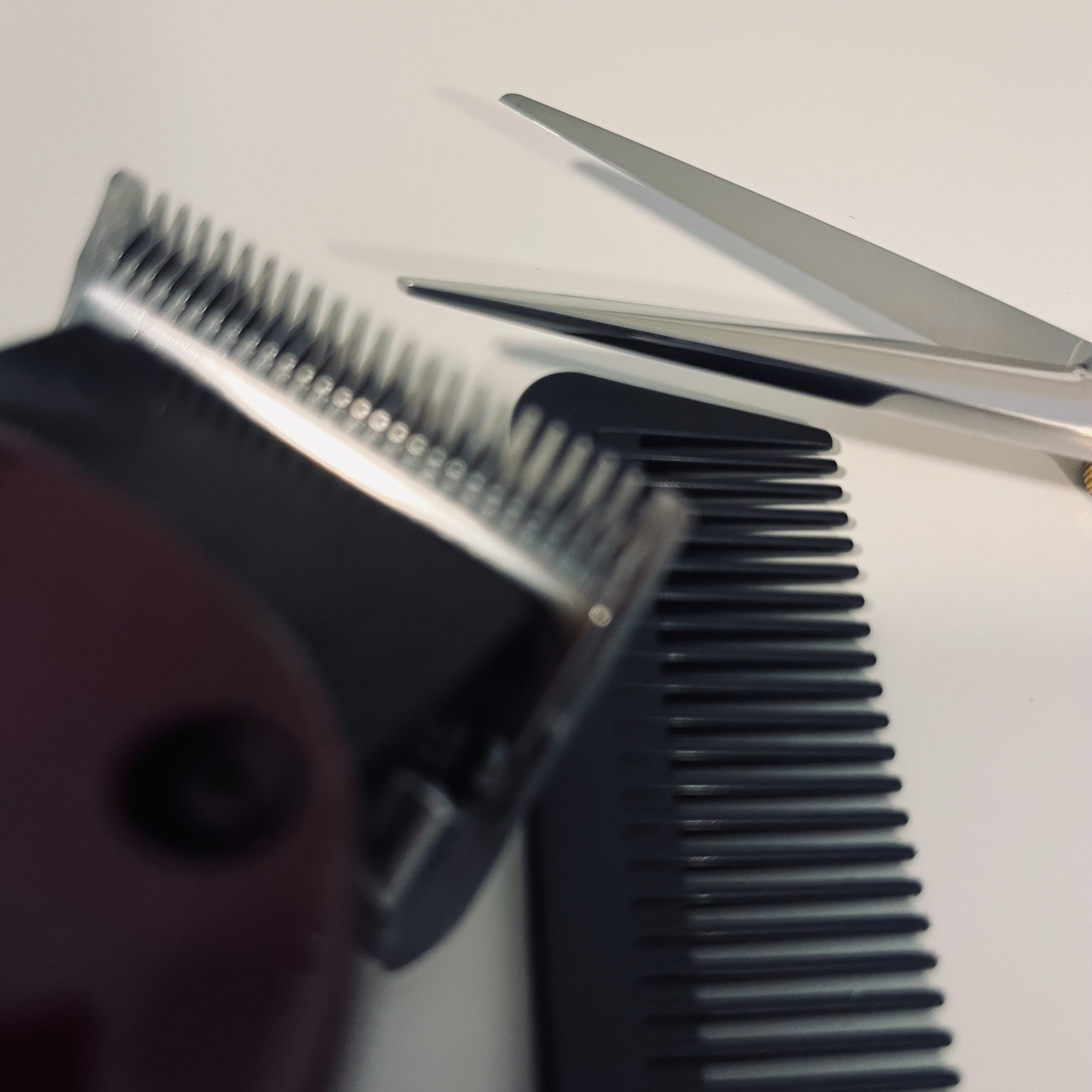 Short Haircut (above chin) at Tress & Treble in Marlboro, NY