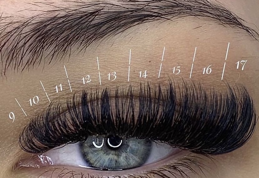 6 Volume Lash Fill Package