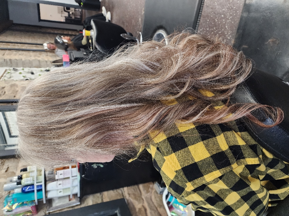 Full Head High/Lowlights Long Hair
