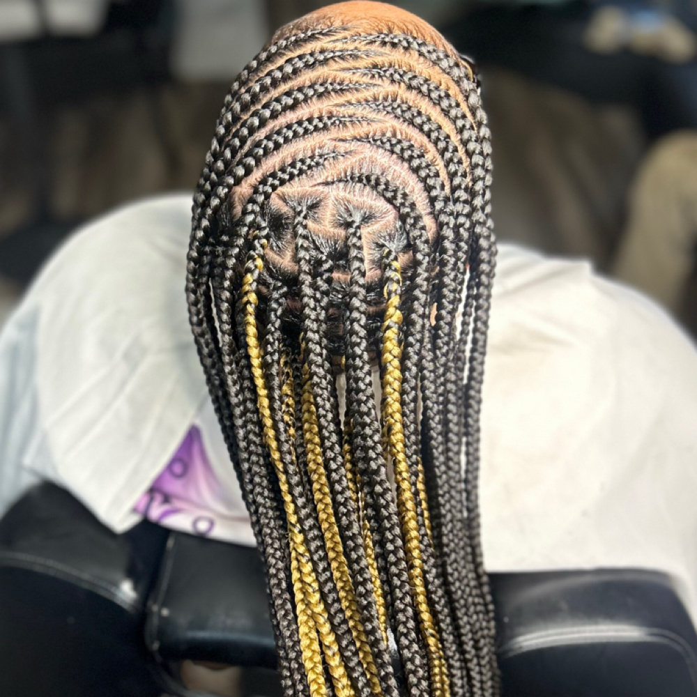 Fulani Braids / Twist ♡ at Toots Touch Beauty in FarmVille, VA