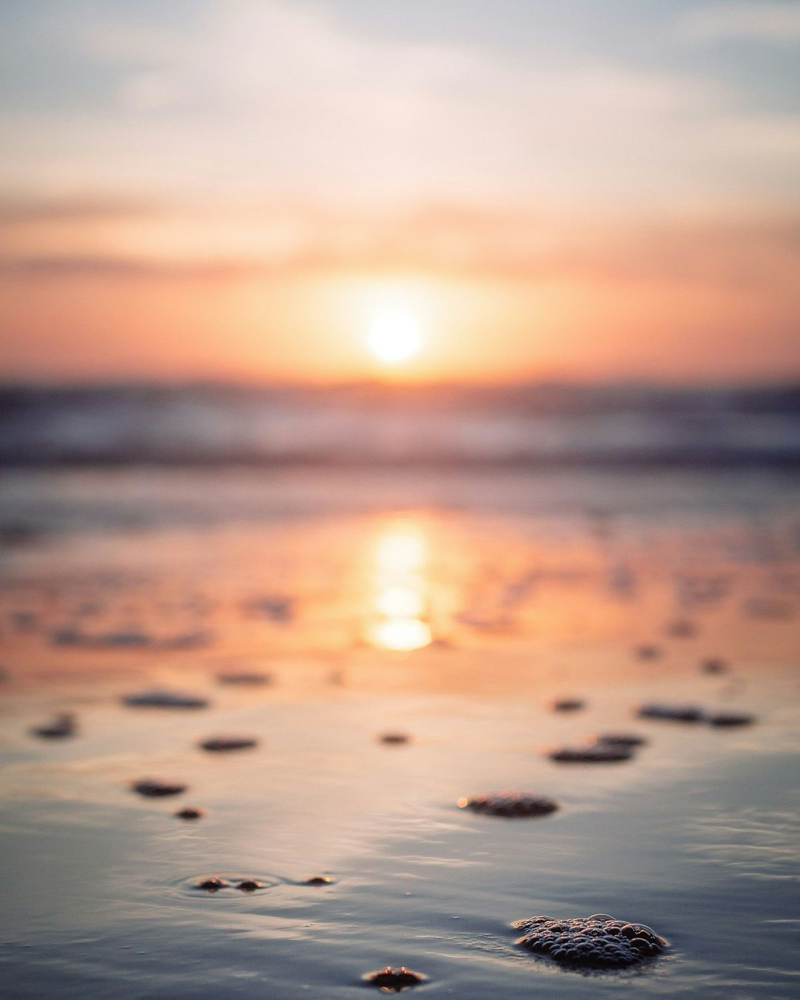 Shoreline Stroll