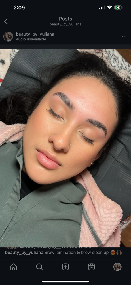 Eyebrow Lamination