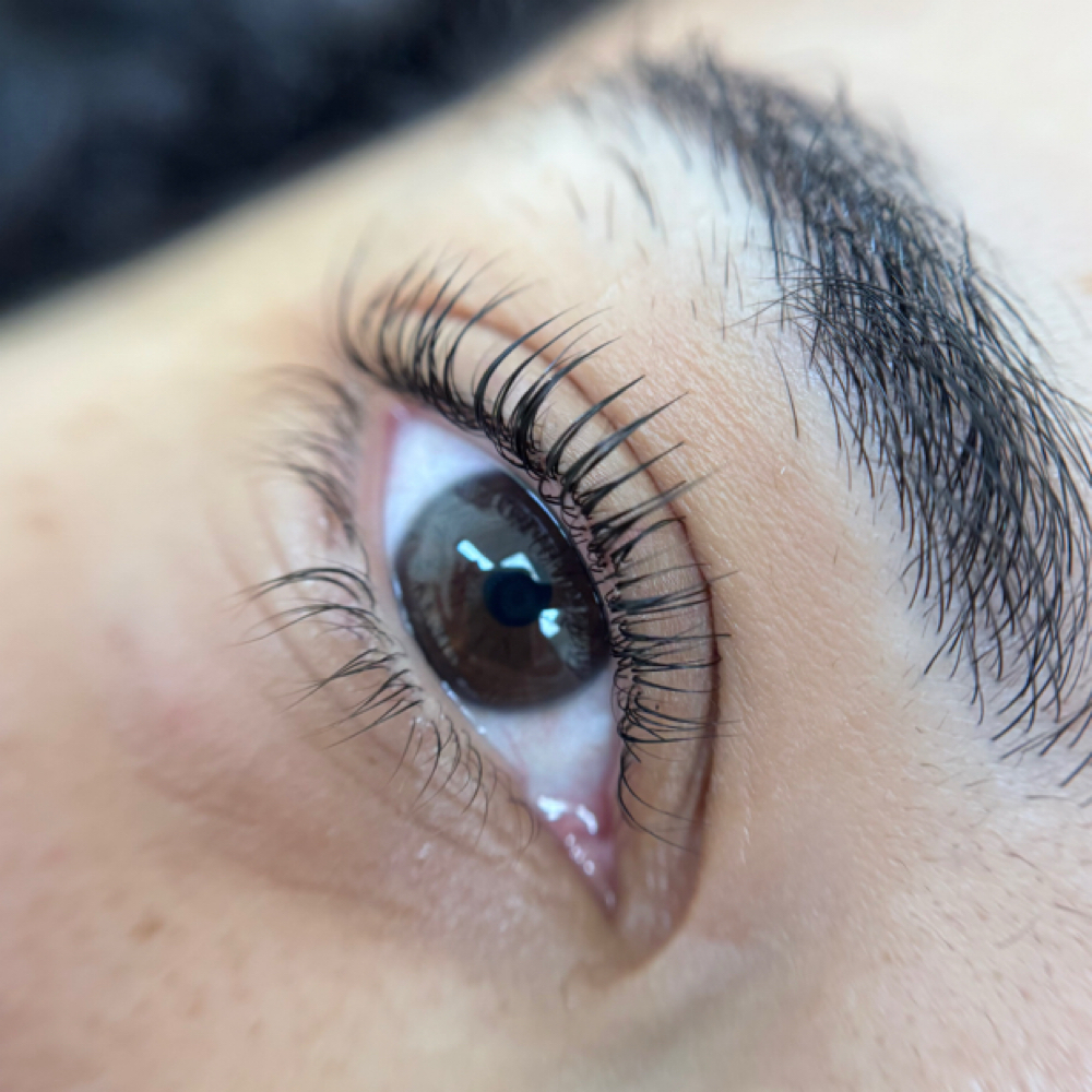 Korean Lash Lift at Lush Aesthetics in Mechanicsville, VA