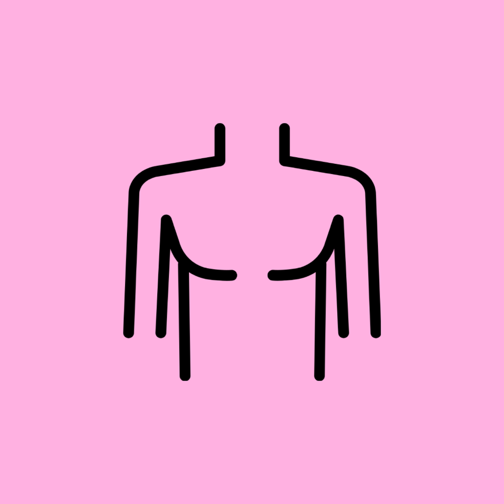 Chest