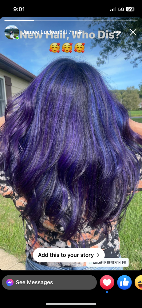Vivd Colors
