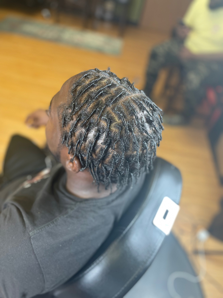 Starter Locs (Short Hair)