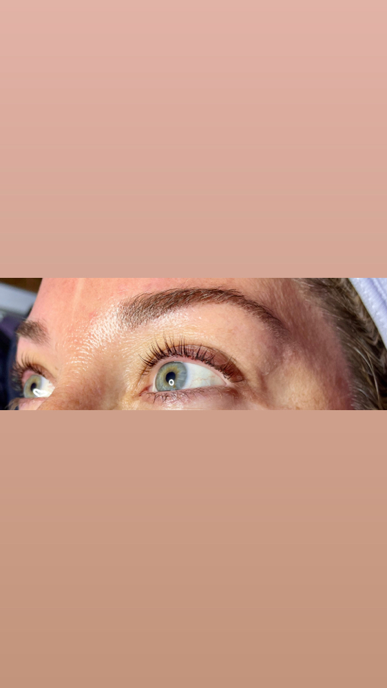 Lash & Brow Bundle