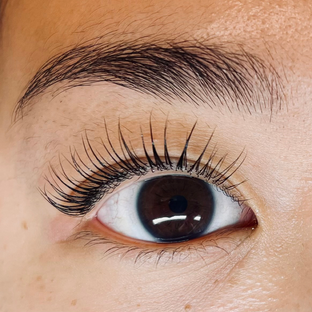 Korean Lash Lift & Brow Lamination at The Lash & Co. in Lake Forest, CA