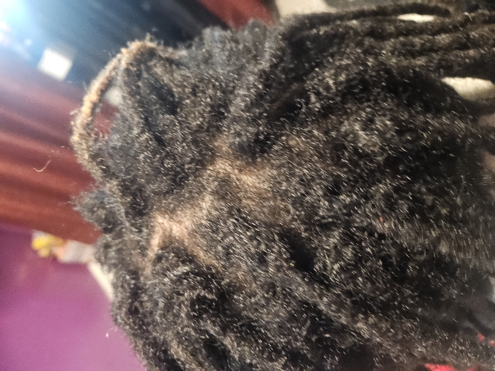 Hair scalp nourishing oil treatment