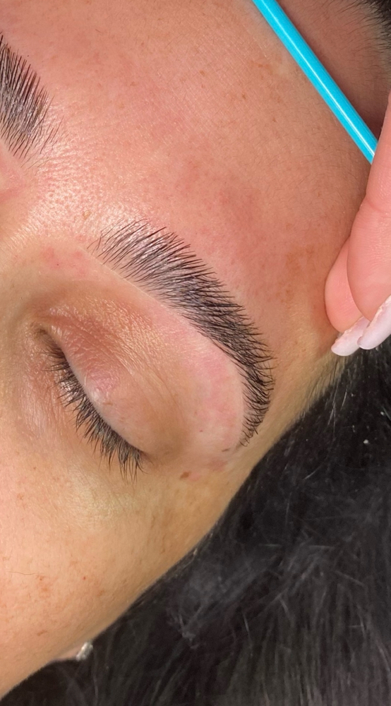 Brow Lamination, Brow Wax + Stain