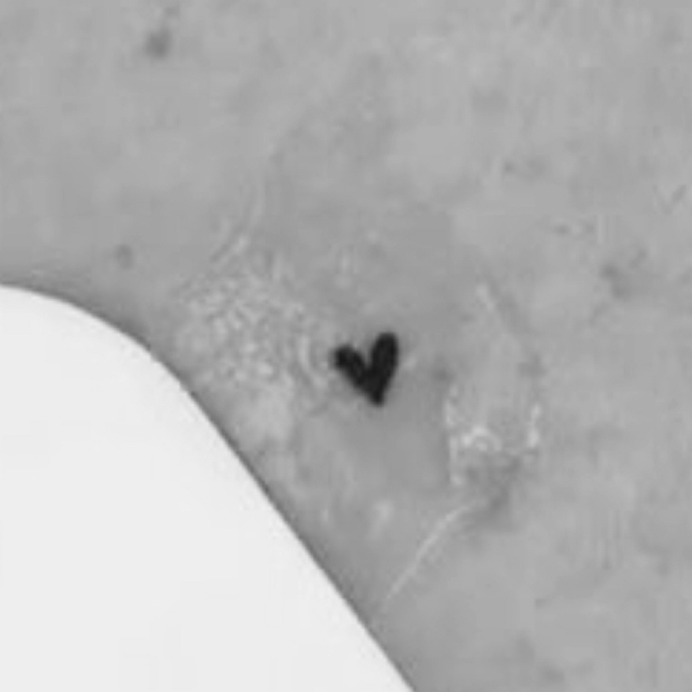 Tiny Heart Freckle at The Lash Specialist in Warwick, NY