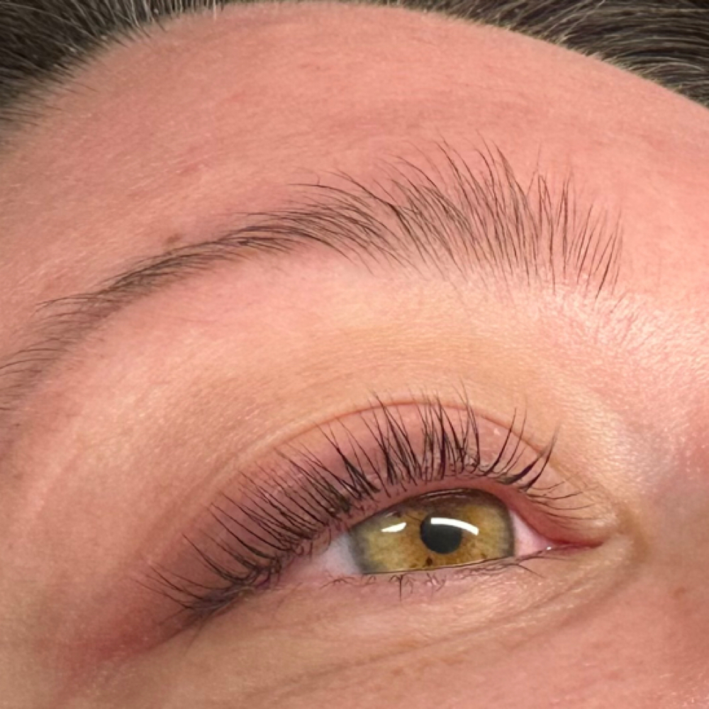 Lash Lift + Tint at Bashful MK Beauty - In Haus Of Luxe Salon in Roseville, CA