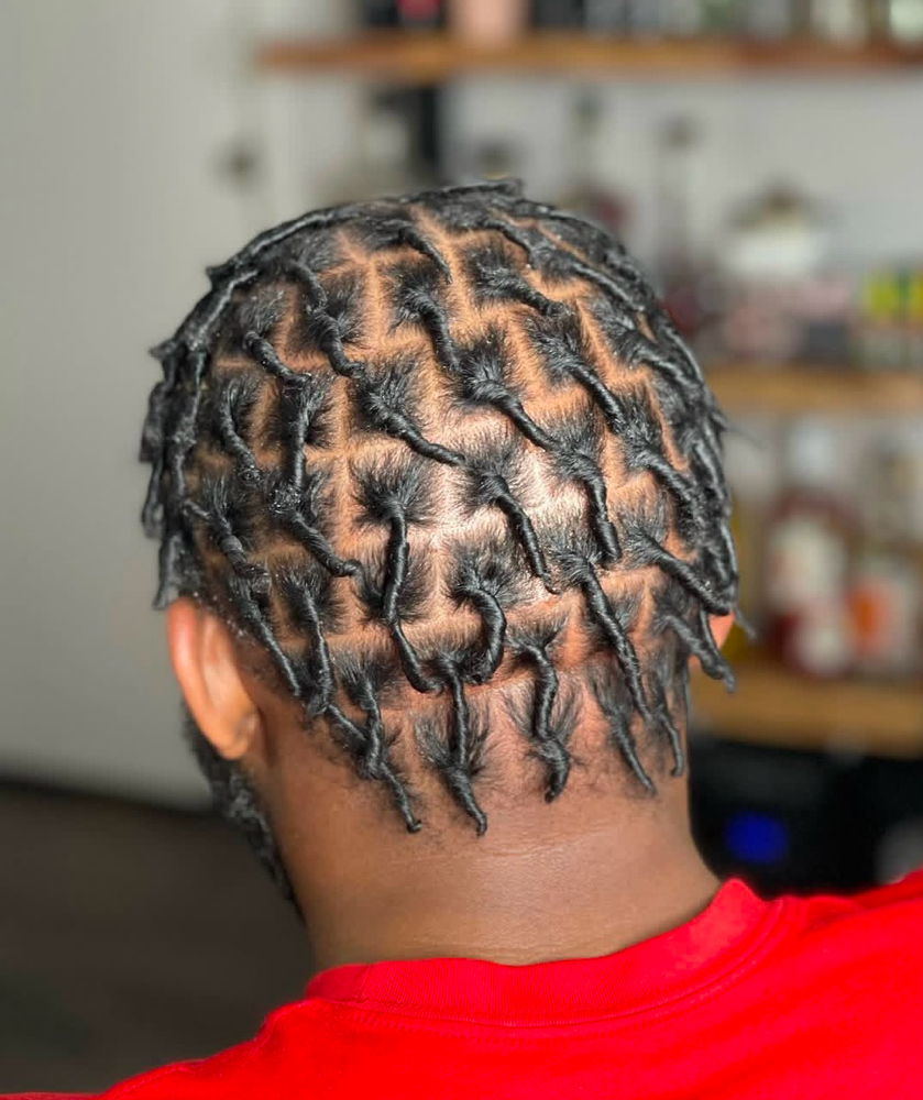 Starter Locs (Med)