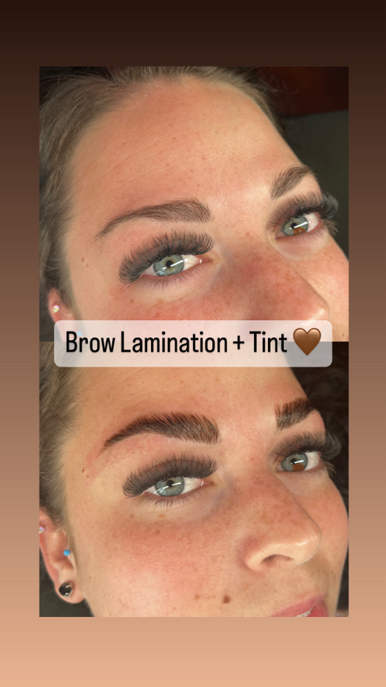 Brow Tint+Lamination at Monarch Beauty & Esthetics in Amarillo, TX