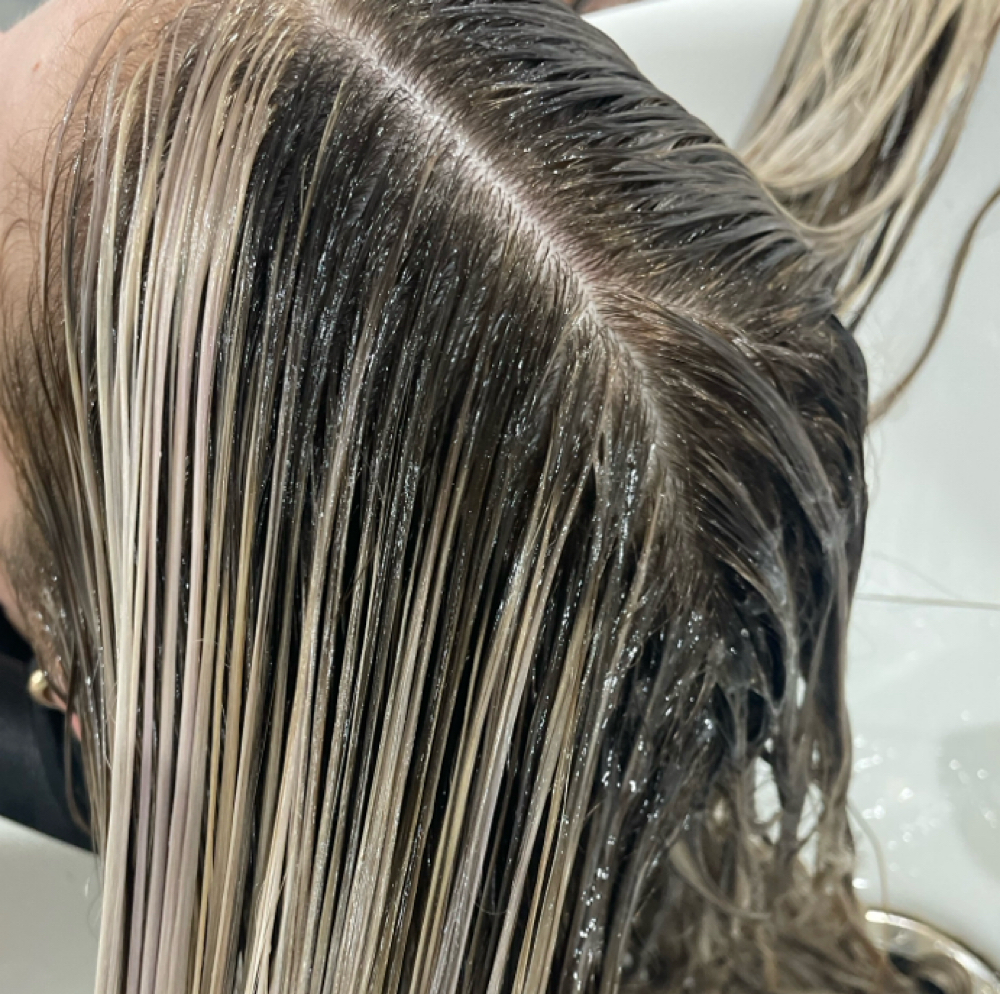 Shine Bomb at Daniela Springer in Portage, MI