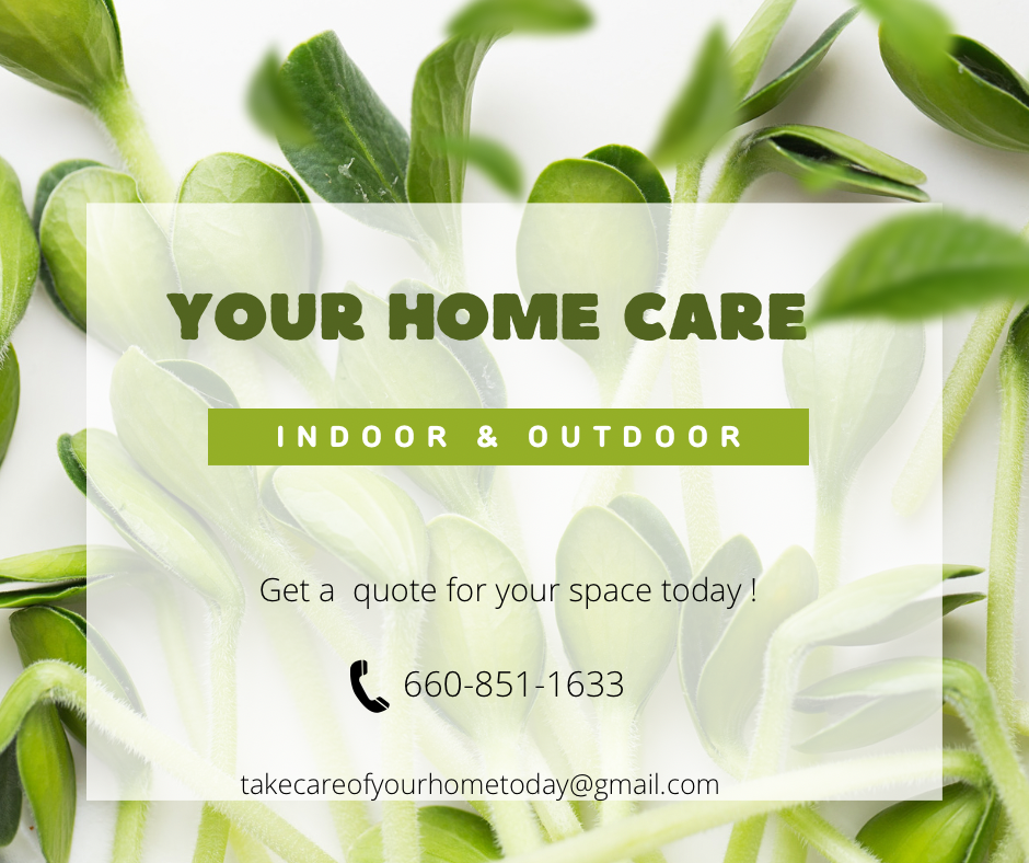 House Deep Cleaning - Pet Cleaning