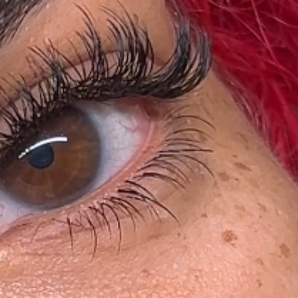 Bottom Lashes at B.L. Lash Extensions in Sunrise, FL
