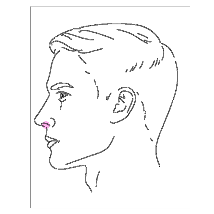 Nose