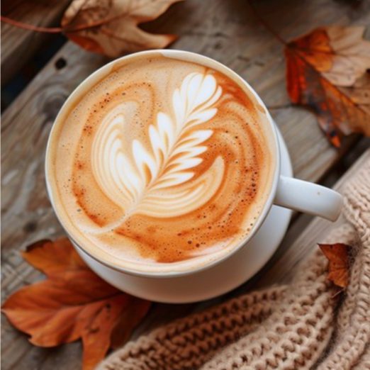 Spiced Pumpkin Mocha Facial at On Pointe Esthetics in Geneva, IL