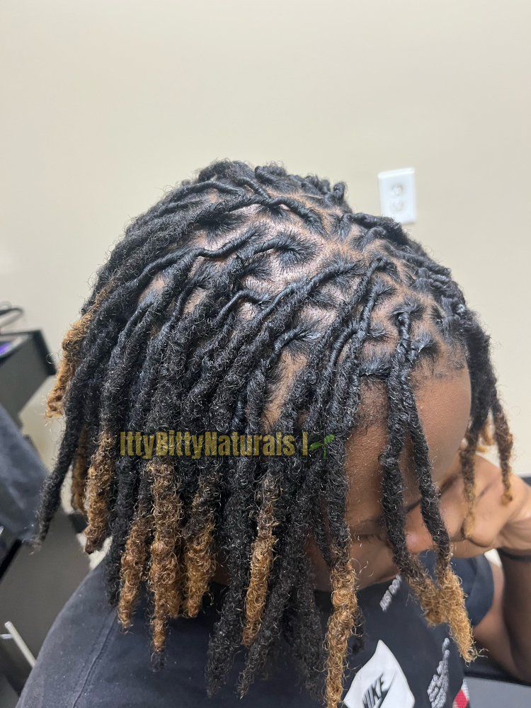 Loc Retwist Only