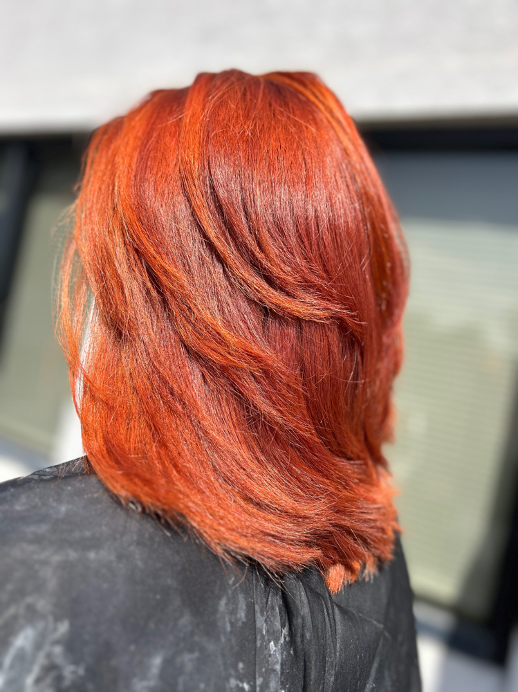 All Over Color (Double Process) at Hair By Kopper in Columbus, GA