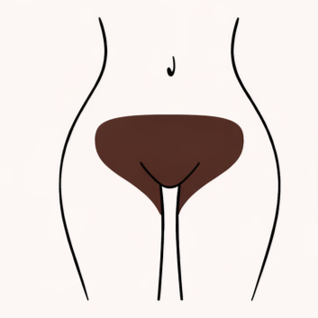 Bikini Full at Bare Beauty by Nora in Scottsdale, AZ