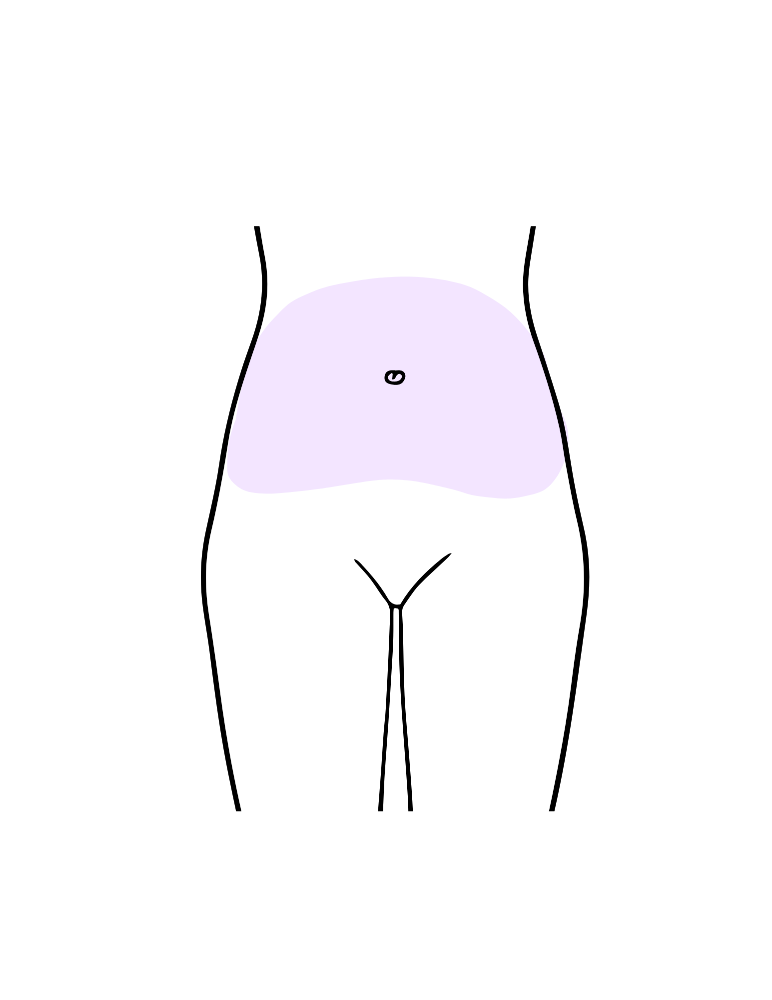 Belly/ Stomach