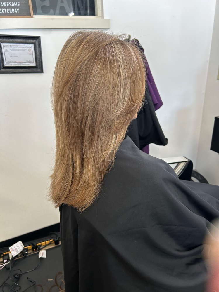 Shampoo Blowdry With Style