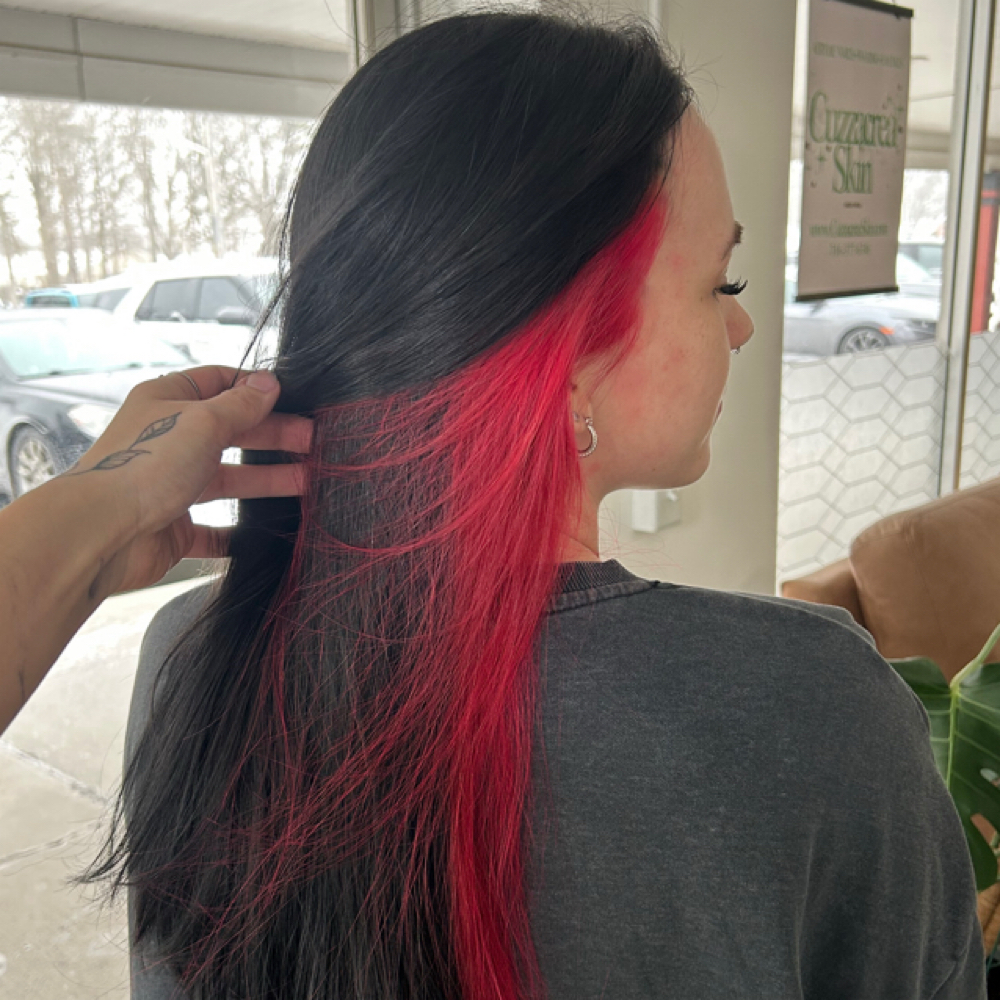 Peek-a-boo Color at Hair X Renee in Lockport, NY