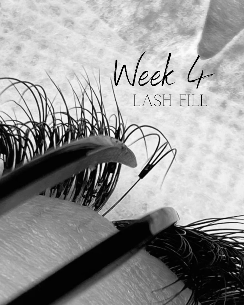 Week 4 Lash Fill at Landin Smith in Asheville, NC