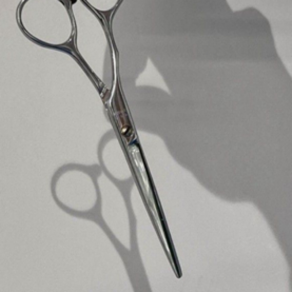 Haircut at Cosmetology by Bella in South Elgin, IL