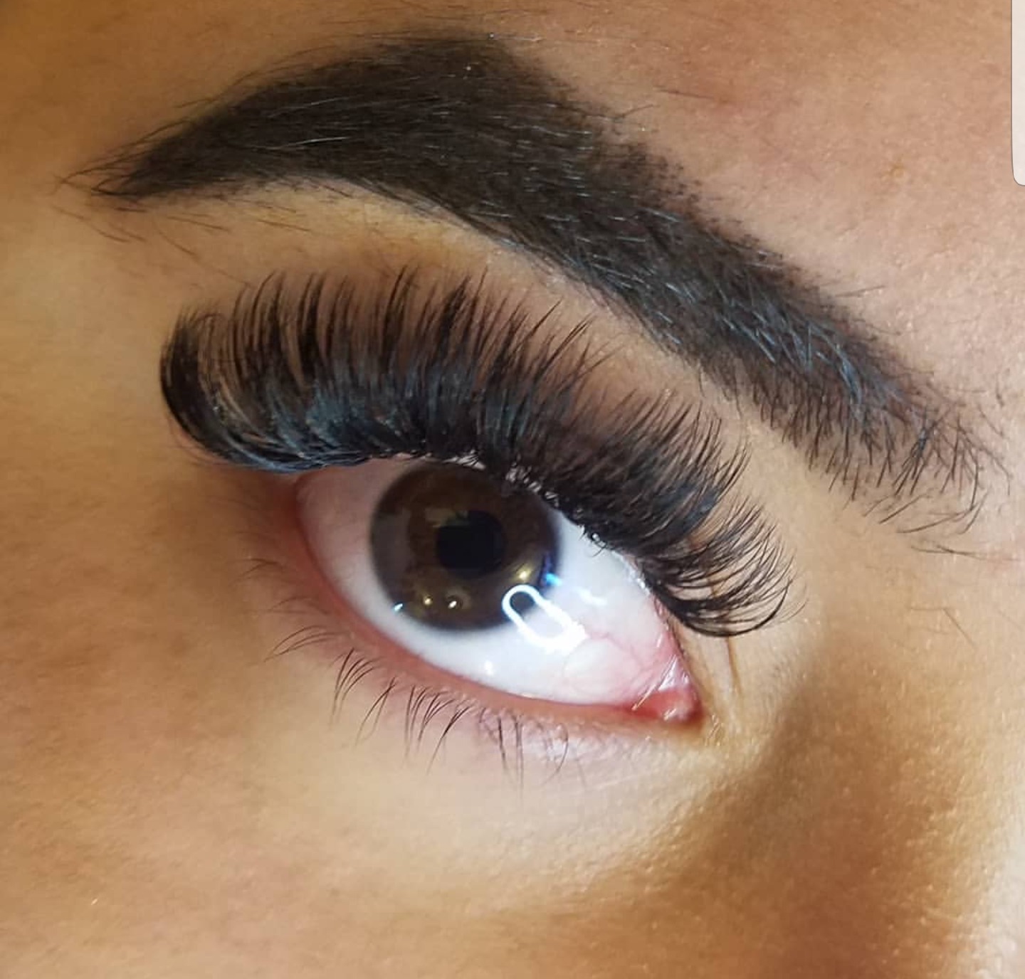 3 Week Volume Lash Fill