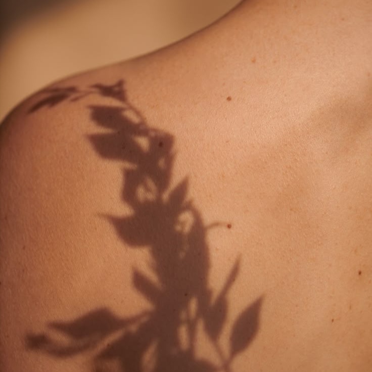 Half Back at Bare Haus in Westminster, CO