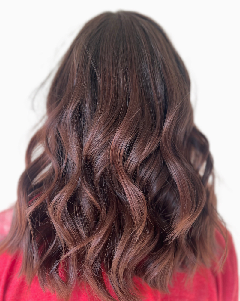 Express Highlight & A Dusting