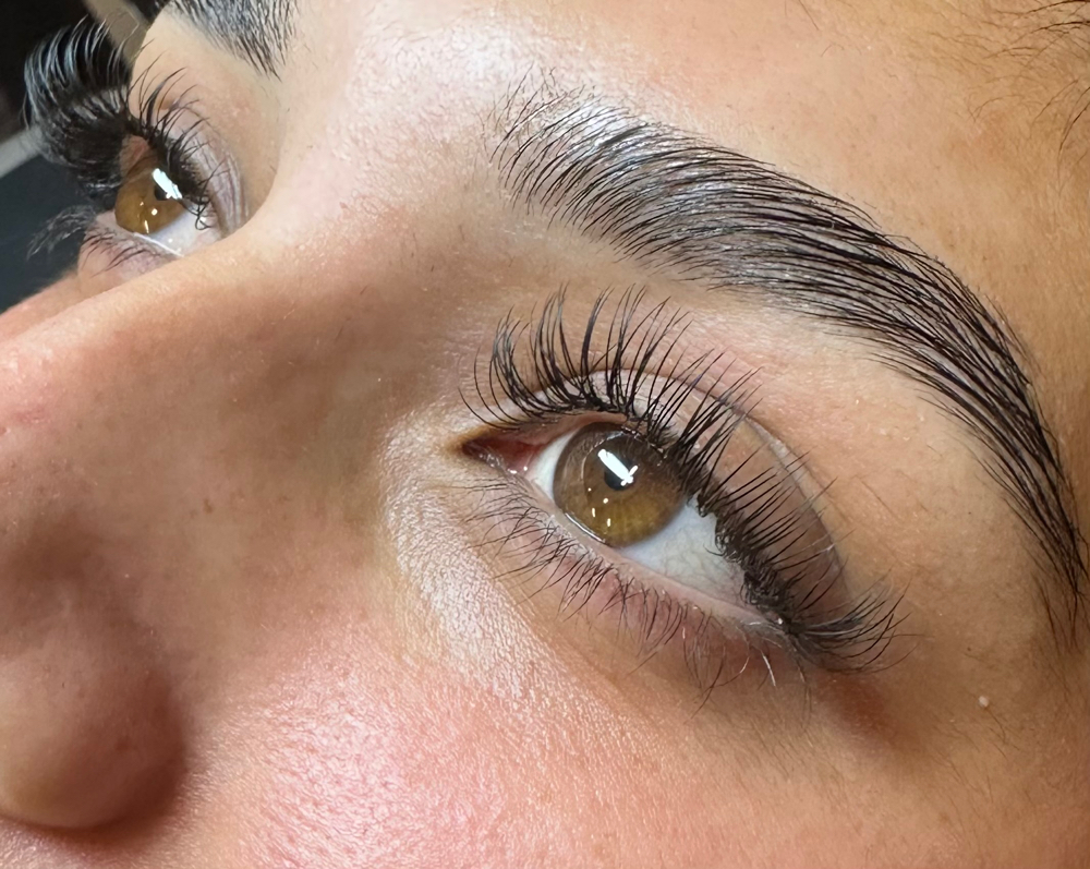 Classic Fill at Lash & Brow studio by CC in Castle Rock, CO