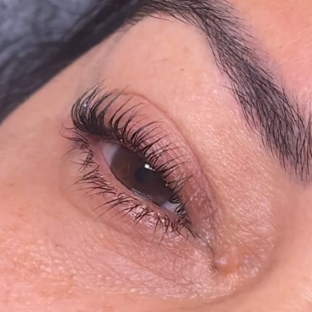 Signature Lash Lift at Anaiz Beauty in West Palm Beach, FL