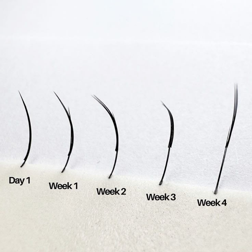 3 week Lash Fill at Brendastar Services in Fredericksburg, TX