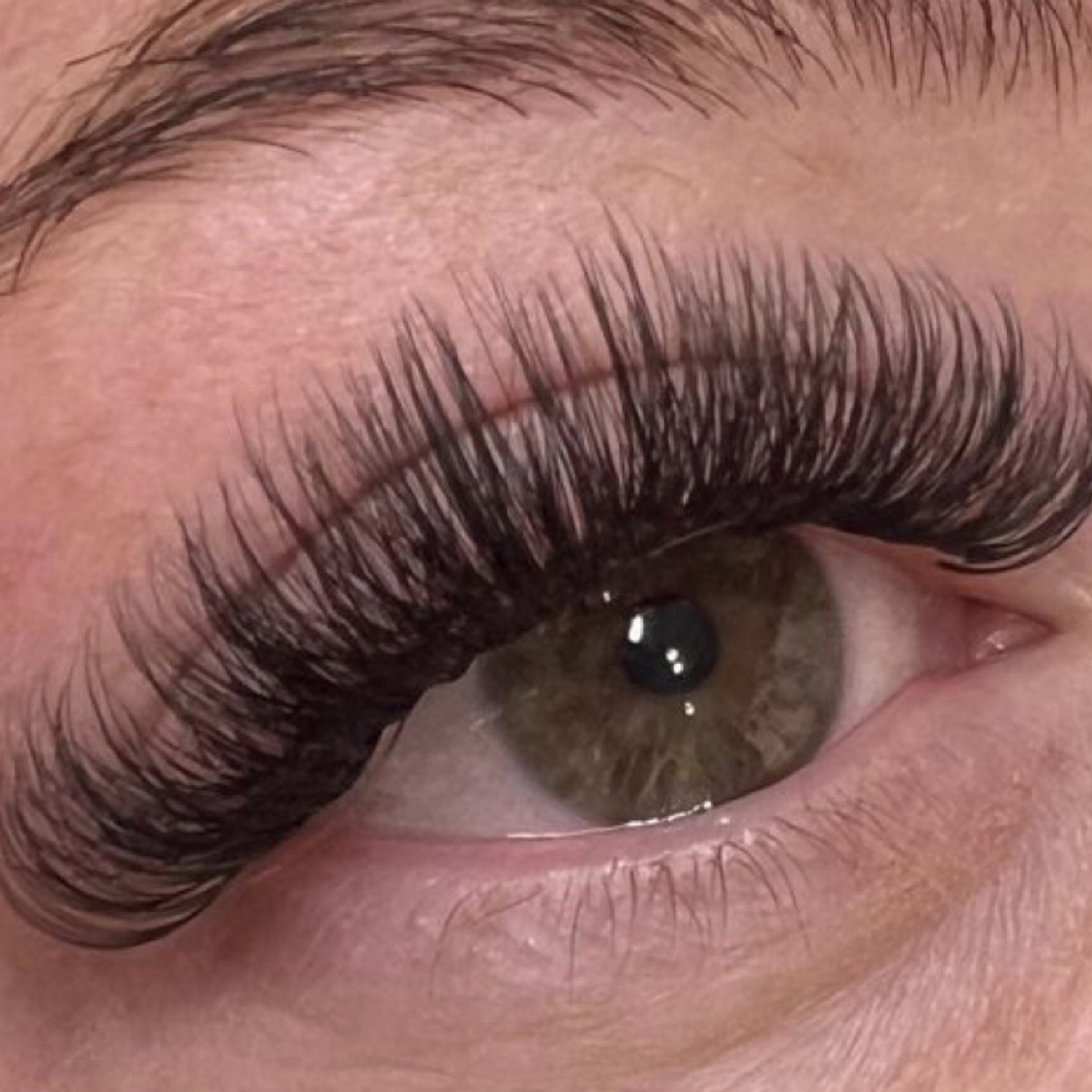 Hybrid at LALISLASHES LLC in Bridgeport, CT
