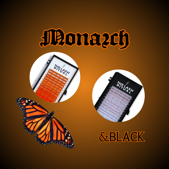 Monarch Lash Flash