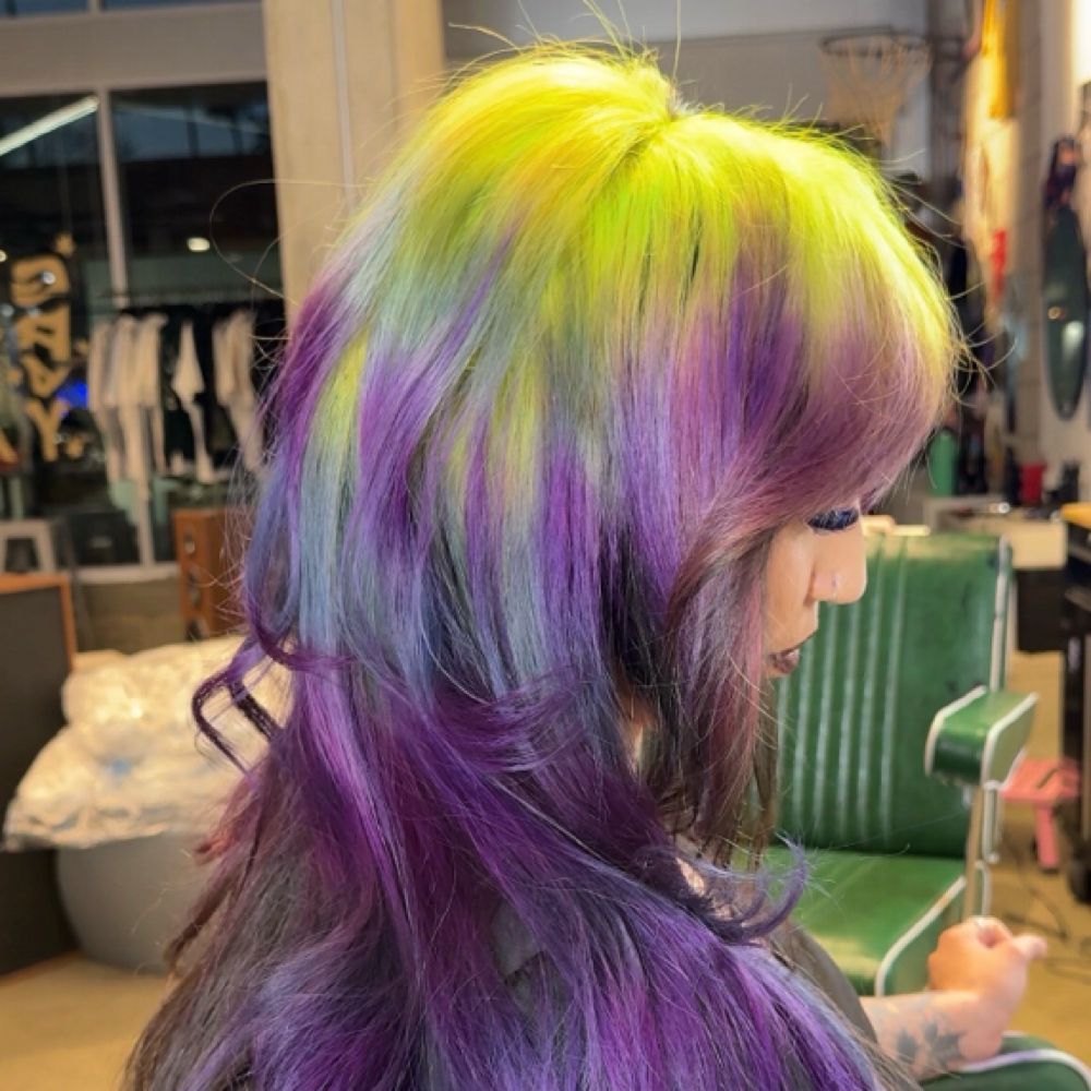 Color Transformation at Courtney Elizabeth Cosmetology in Riverside Ca, CA