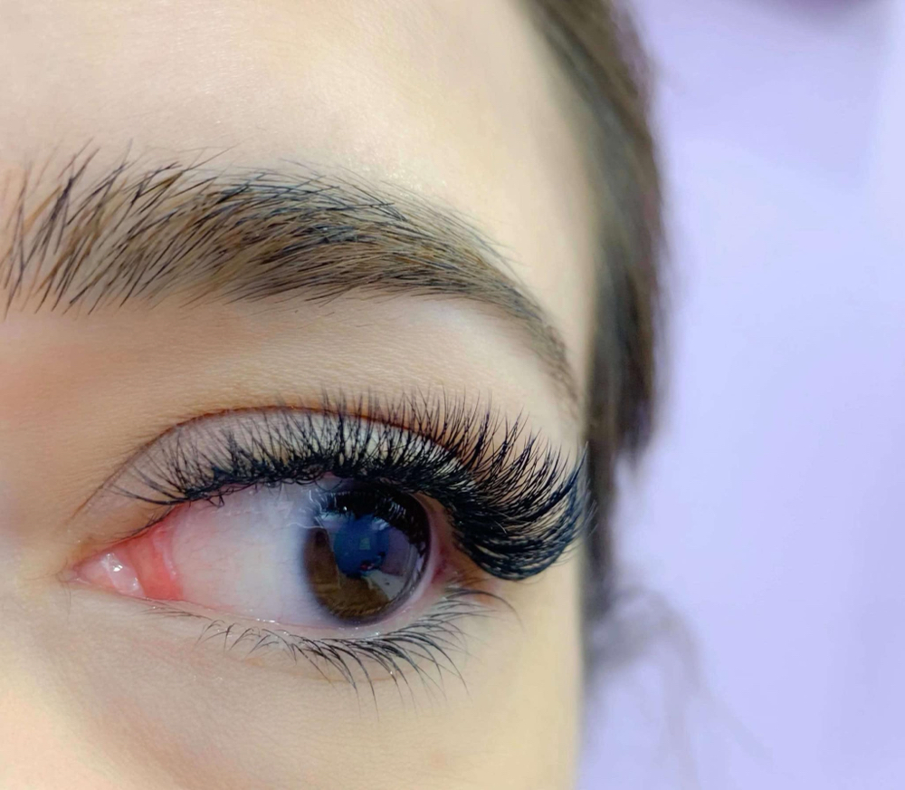 New Set -   Russian Volume Lashes