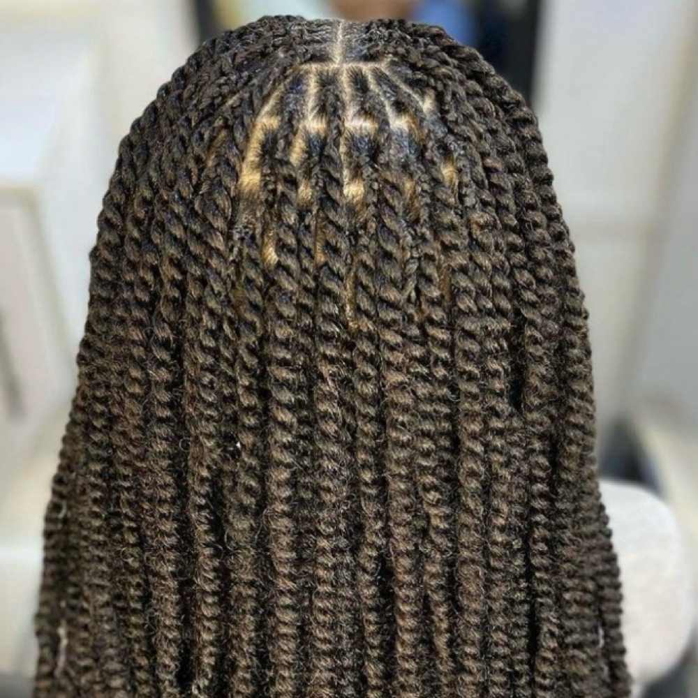 The Two Strand Twist Experience at Experience Beauty Salon in Olive Branch, MS